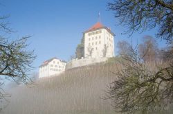 Das Schloss Heidegg