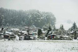 Schrebergärten in Hochdorf bei Schnee